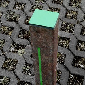 Pin